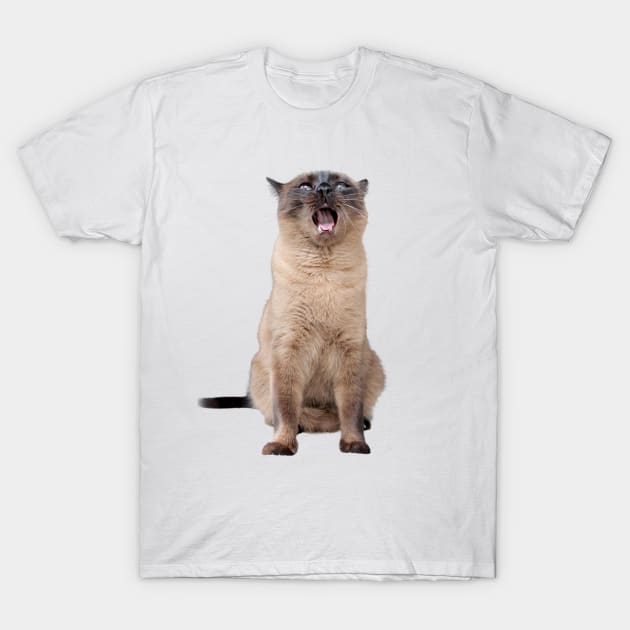 Cola Yawn Big T-Shirt by Colathecat